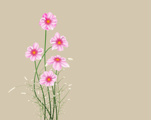 Lovely spring background with tulip flowers vector image