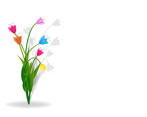 Lovely spring background with tulip flowers vector image