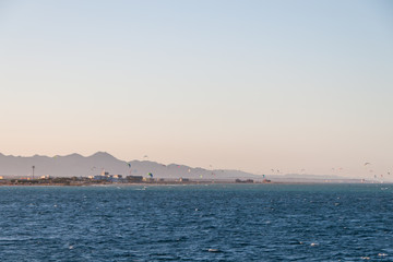 Kite Surfers Riding on the Red Sea at Sunset in El Gouna, Egypt.