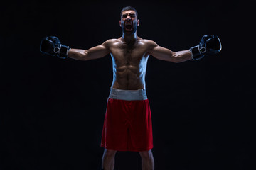Fototapeta na wymiar Oriental boxer celebrating his victory with raised arms in black gloves.