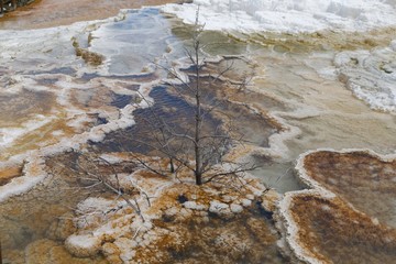 Mammoth Hot Springs
