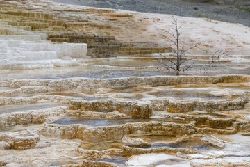 Mammoth Hot Springs, Lower Terraces