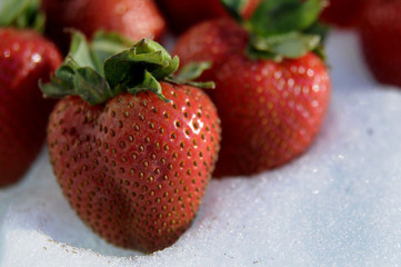 Delicious Strawberries