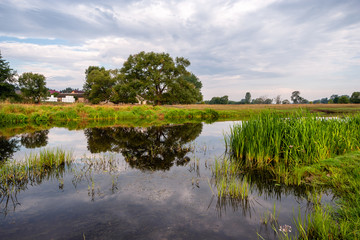 Lato nad Narwią © podlaski49