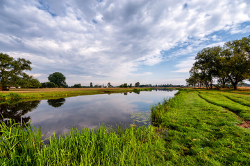 Lato nad Narwią © podlaski49