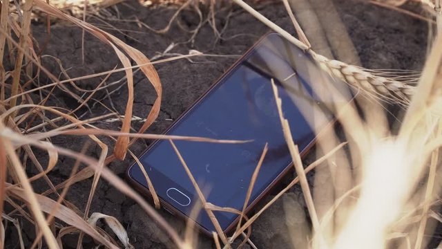 Incoming call to lost mobile phone in cereal field in close up