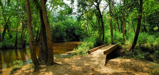 Autauga Creek / Autauga Creek near Prattville, Alabama