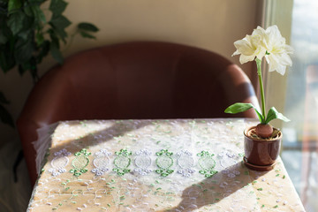 An empty table covered with a patterned white tablecloth in a cafe. The flower in the pot is on the table. In the background a leather chair.