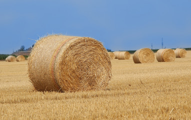 Fototapeta na wymiar Field with straw bales after harvest