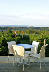 A Table And Chair In The Vinyard