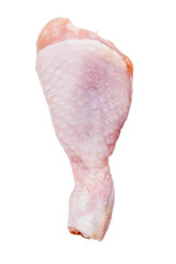 One Raw chicken leg drumsticks isolated on a white background