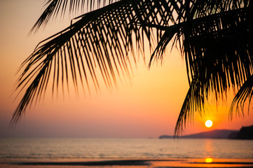 palm trees silhouette on sunset tropical beach. - obrazy, fototapety, plakaty