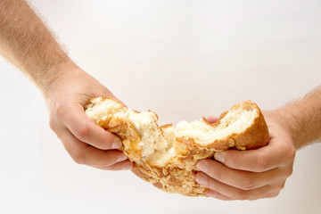 Bread is torn in half in male hands on the white background
