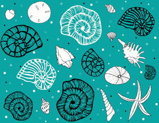 Sea shells repeat pattern on seagreen bg