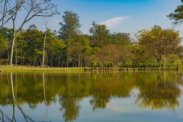 Fototapeta premium Lake