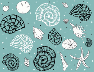 Sea shells repeat pattern on light seagreen bg