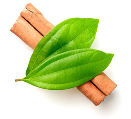 fresh cinnamon leaves and stick isolated on white, top view