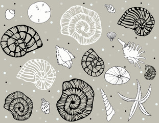 Sea shells repeat pattern on sand bg
