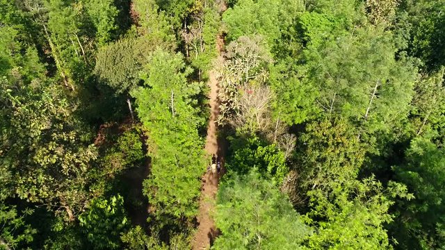 Aerial view flying over people talking on the road of a coffee plantation filmed by drone in Kutta Karnataka India
