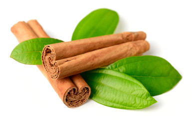 Ceylon cinnamon sticks and fresh cinnamon leaves isolated on white