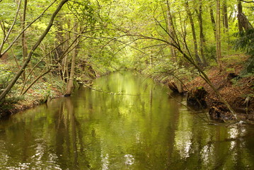 Flusslandschaft herbstlich