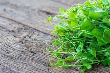 Fresh green basil leaf on wooden table background. Food concept