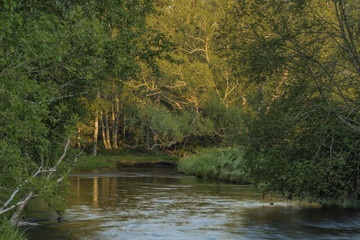 Tepla Vltava river near Soumarsky Most village