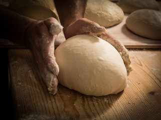 PANADERIA ARTESANAL RUSTICA 