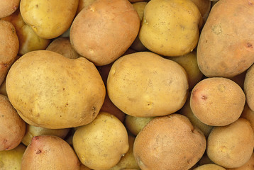 Raw organic potato closeup background