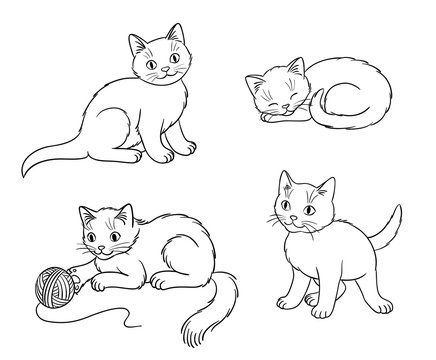 Four different kittens in outlines - vector illustration