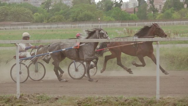Two Racer at the Harness Racing. Slow Motion