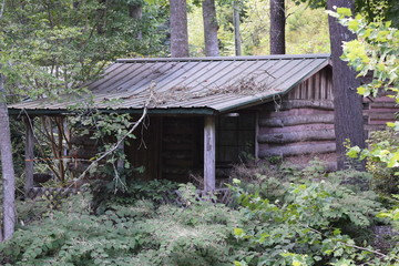 Ancient Log Cabin