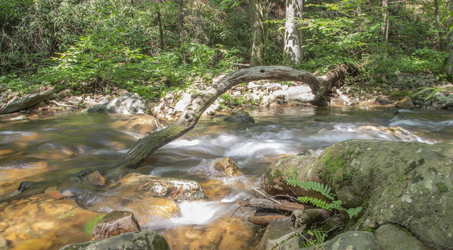 Tennessee Falls