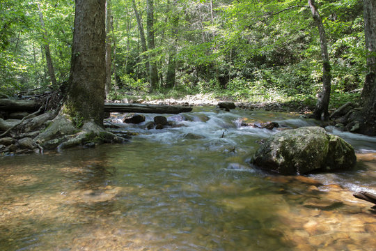 Rushing Waters in woods of Tennessee