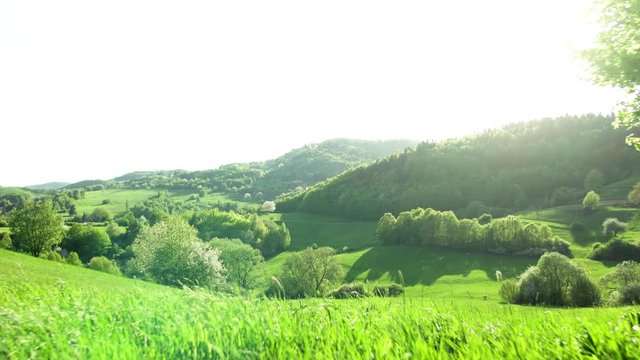 Panoramic view of landscape of meadows and woodland. Sunset in nature.