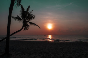 Fototapeta na wymiar Plam trees silhouetted against the twilight sky in sunset on a beach in Hua Hin, Thailand
