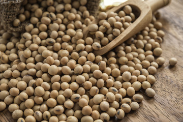 closeup is some soybeans with wooden spoon