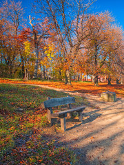 Nice park with bench in autumn