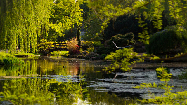 Regent&acute;s Parque Londres, Reino Unido