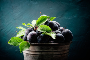 pflaumen im blecheimer mit blätter