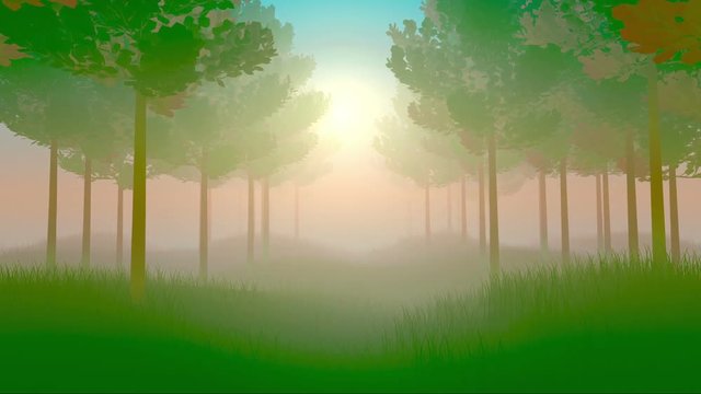 Morning forest misty grass gives chill loop