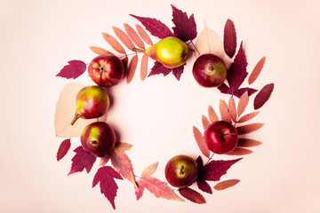 Obraz na płótnie Canvas Natural wreath of dry pink leaves and pears on pink background. Autumn harvest concept.