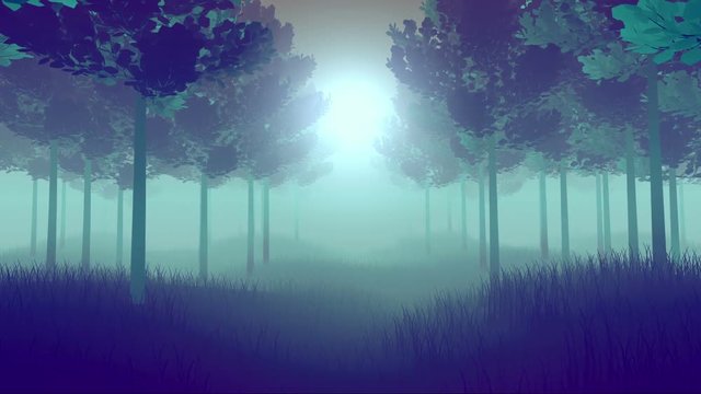 Forest fog walkthrough gives chill