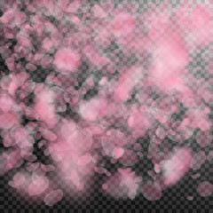 Sakura petals falling down. Romantic pink flowers gradient. Flying petals on transparent square back