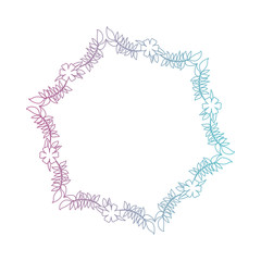 beautiful flower and leafs frame vector illustration design