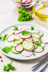Summer vegetarian radish, cucumber goat cheese salad. Selective focus, space for text.
