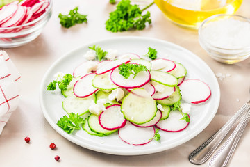 Summer vegetarian radish, cucumber goat cheese salad. Selective focus, space for text.