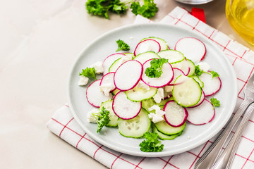 Summer vegetarian radish, cucumber goat cheese salad. Selective focus, space for text.