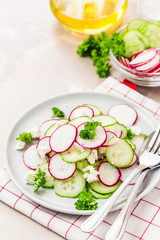 Summer vegetarian radish, cucumber goat cheese salad. Selective focus, space for text.