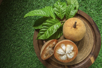 Yellow Santol tropical fruit of thailand